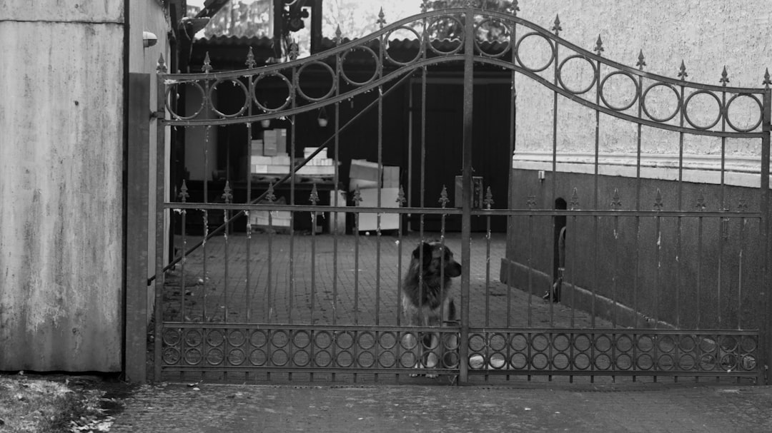A metal gate weathering coastal salt air in Mount Pleasant